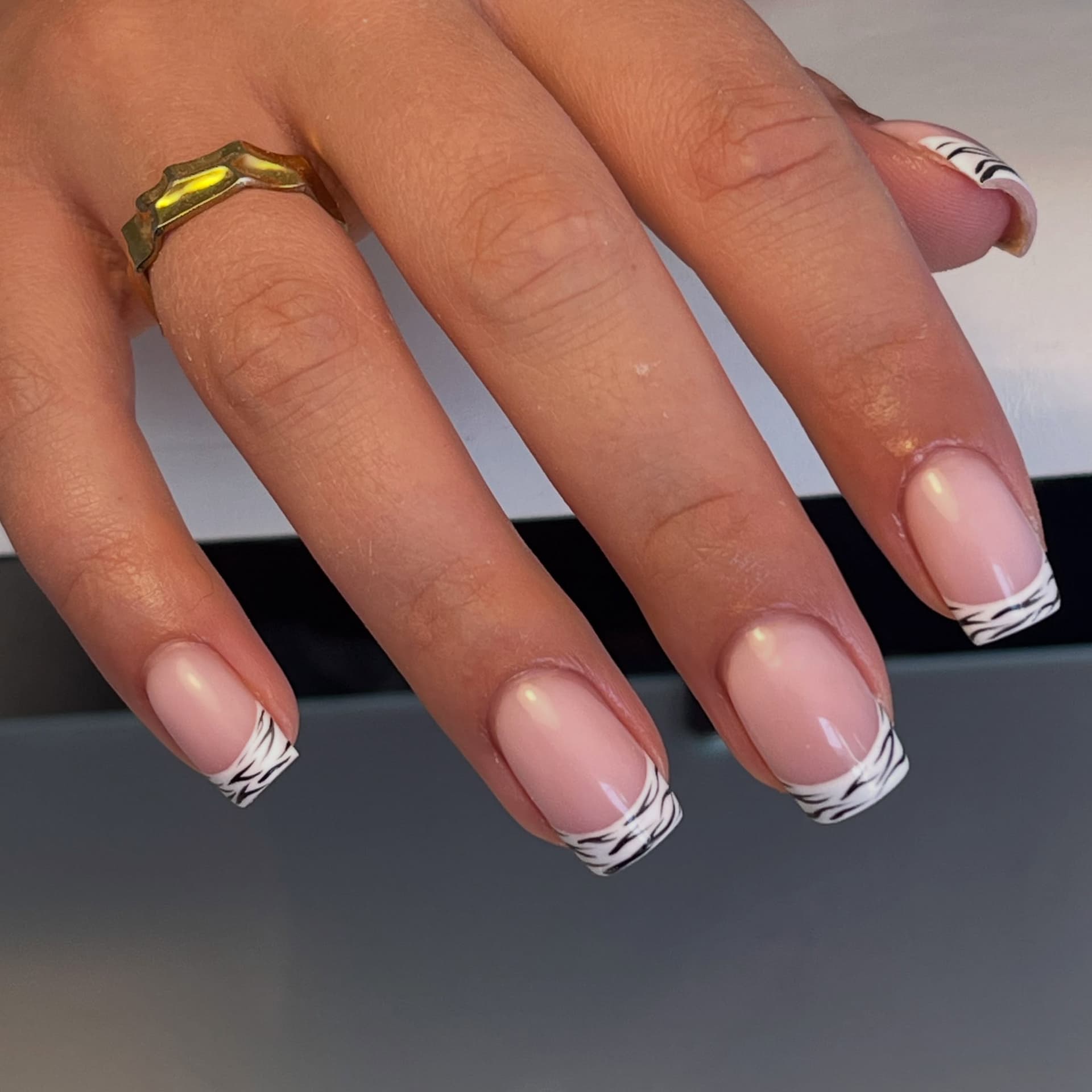 Zebra French